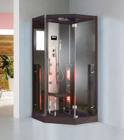 Infrarot Dampfsauna Dampfdusche Sauna 3 in 1! 100 x 100 x 215 Alu black
